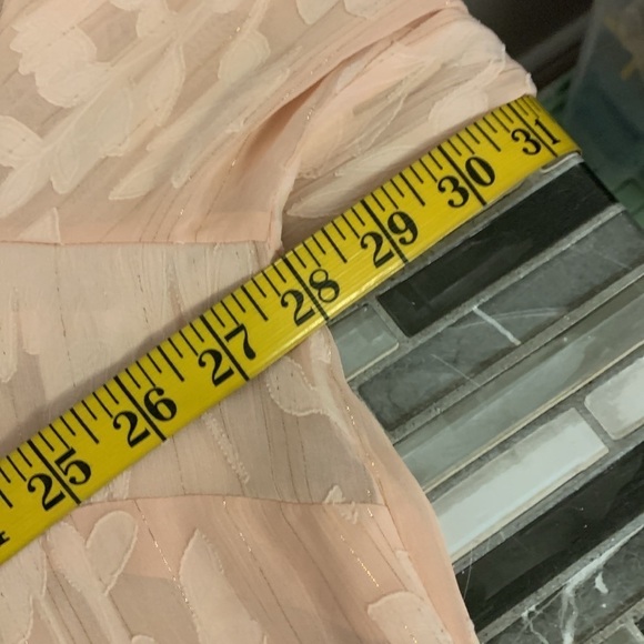 NWT JOE FRESH ROXY EARLE Peach Sparkle Long Sleeve Blouse 1X - Picture 7 of 11